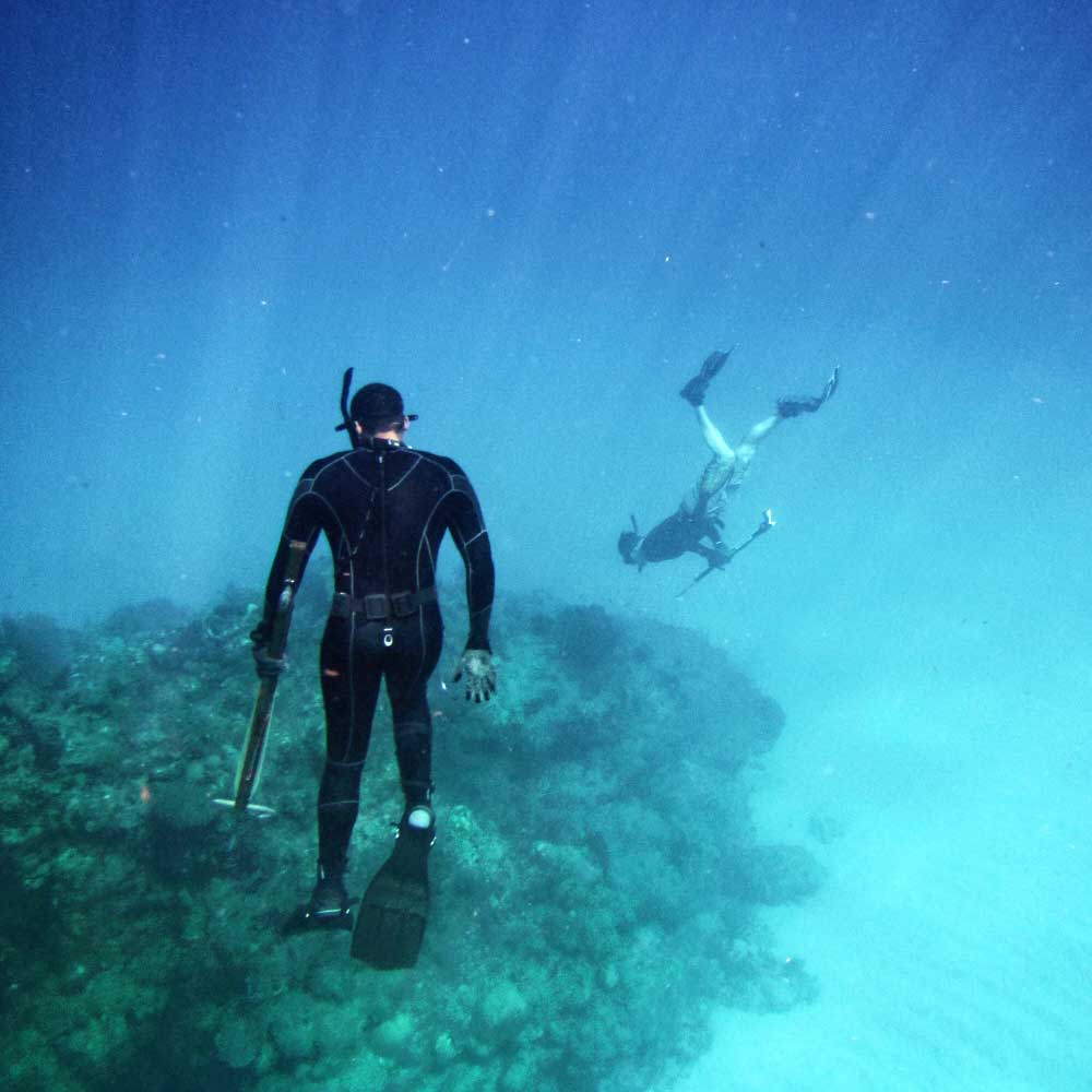 Spearfishing and snorkeling among coral reefs
